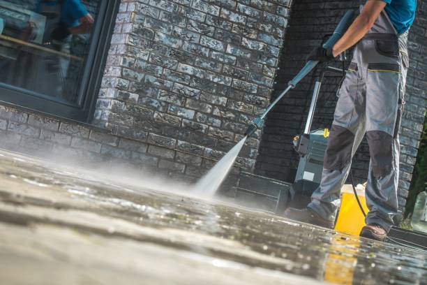 Best House Exterior Washing  in Greenfield, MN